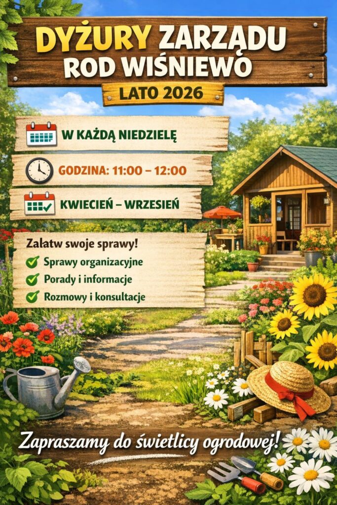 DYZUR